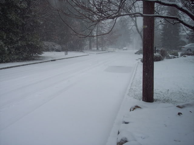 Name:  100_7691.jpg
Views: 28
Size:  46.0 KB