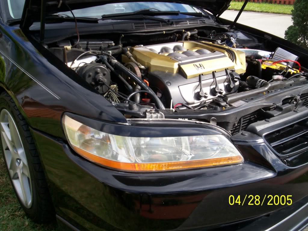 Name:  001_1185.jpg
Views: 1001
Size:  140.2 KB