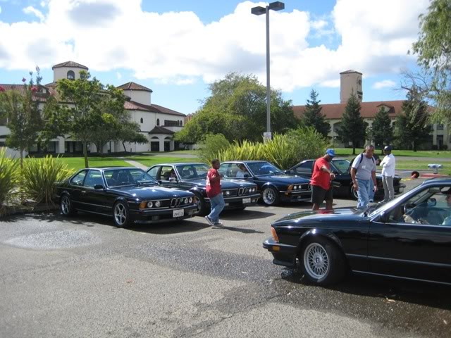 Name:  IMG_1381.jpg
Views: 119
Size:  80.3 KB