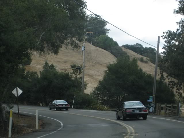 Name:  IMG_1388.jpg
Views: 69
Size:  48.5 KB