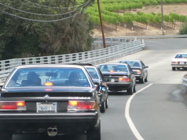 Name:  IMG_1403.jpg
Views: 99
Size:  51.3 KB