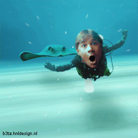 Name:  mvgqhy.gif
Views: 246
Size:  143.1 KB