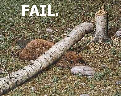 Name:  fail.jpg
Views: 47
Size:  43.2 KB