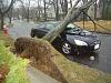 Tree fell on accord pics!!-honda-accord-1.jpg