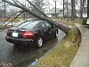 Tree fell on accord pics!!-honda-accord-5.jpg