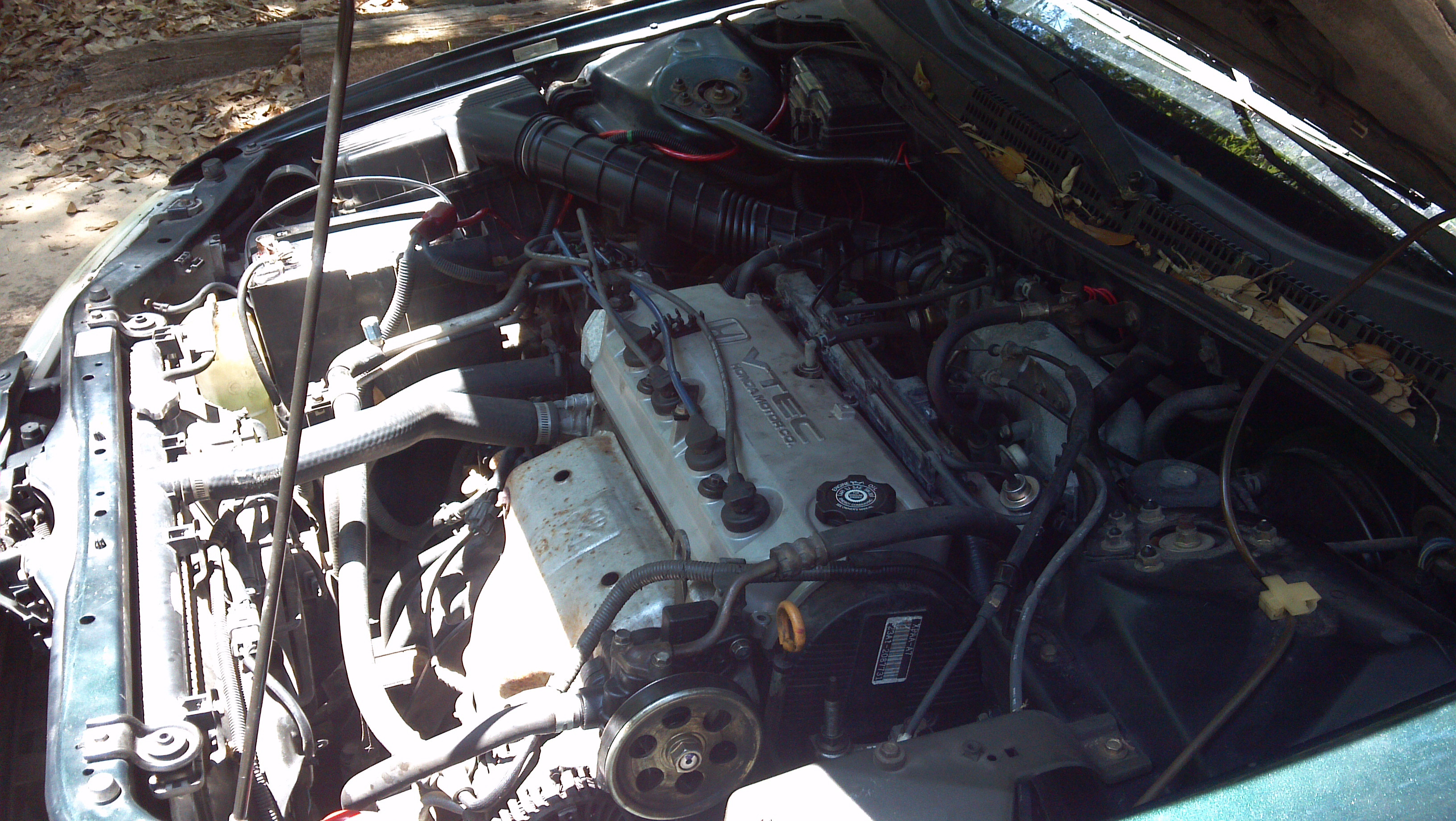 Name:  T4RkITN.jpg
Views: 48
Size:  1.85 MB