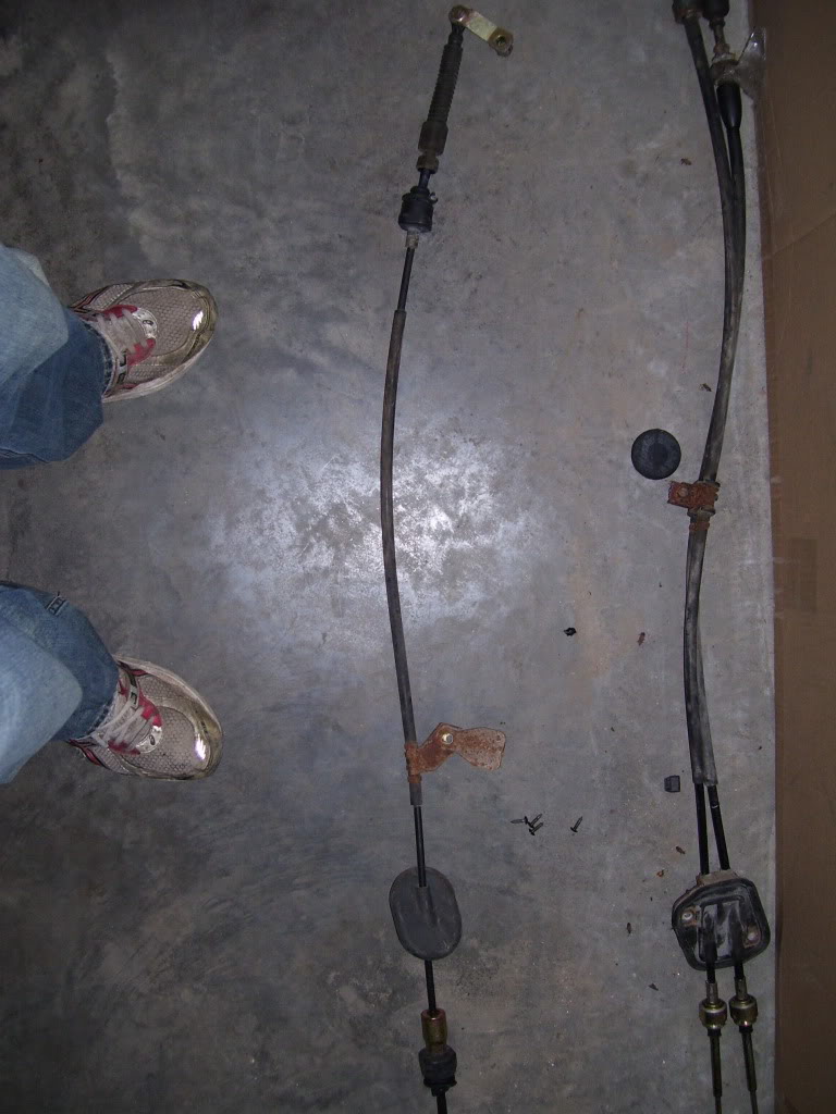 Name:  101_3711.jpg
Views: 34
Size:  104.6 KB