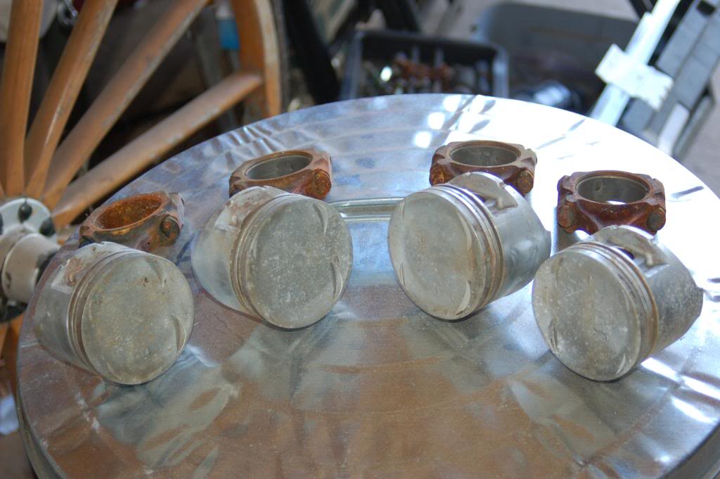 Name:  DSC_2068.jpg
Views: 120
Size:  85.7 KB