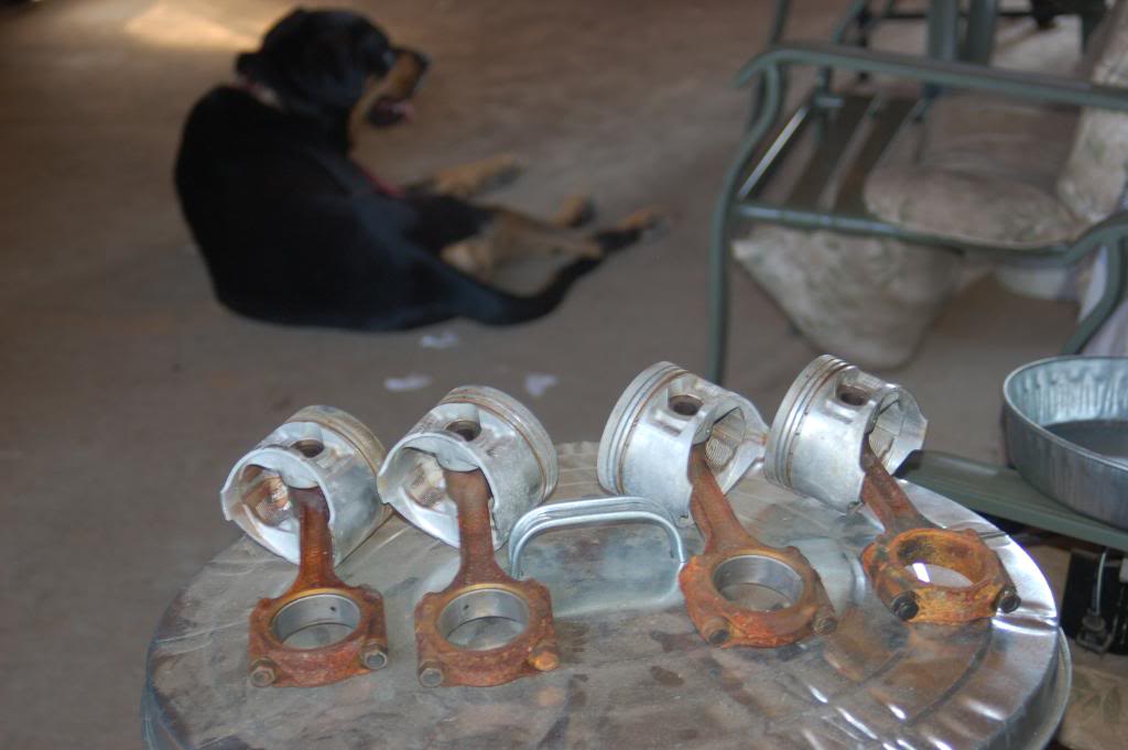 Name:  DSC_2069.jpg
Views: 167
Size:  67.2 KB