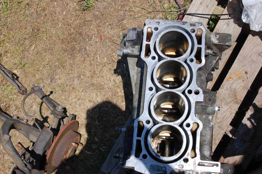 Name:  DSC_0144.jpg
Views: 102
Size:  170.5 KB