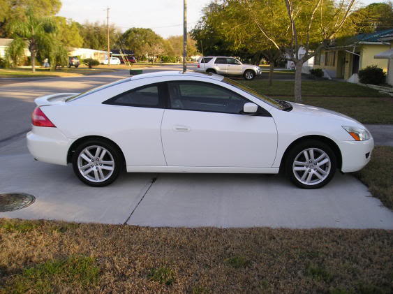 Name:  ALLofmypictures695.jpg
Views: 75
Size:  47.5 KB