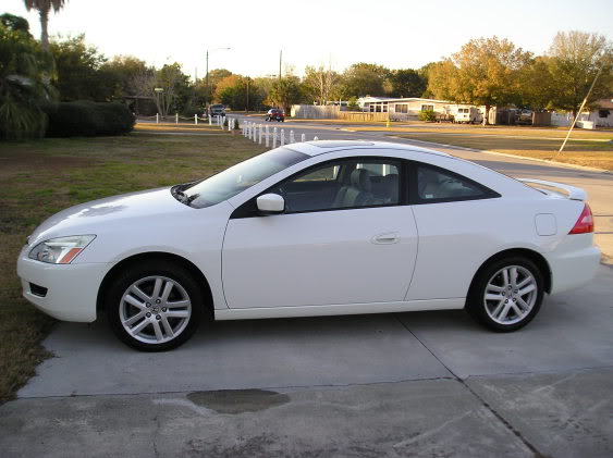 Name:  ALLofmypictures699.jpg
Views: 93
Size:  40.6 KB