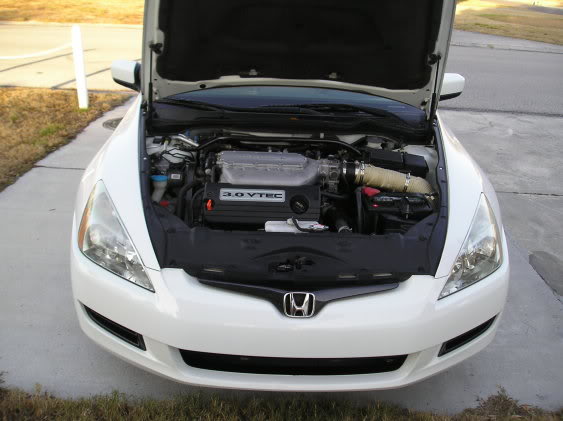 Name:  ALLofmypictures688.jpg
Views: 89
Size:  37.5 KB