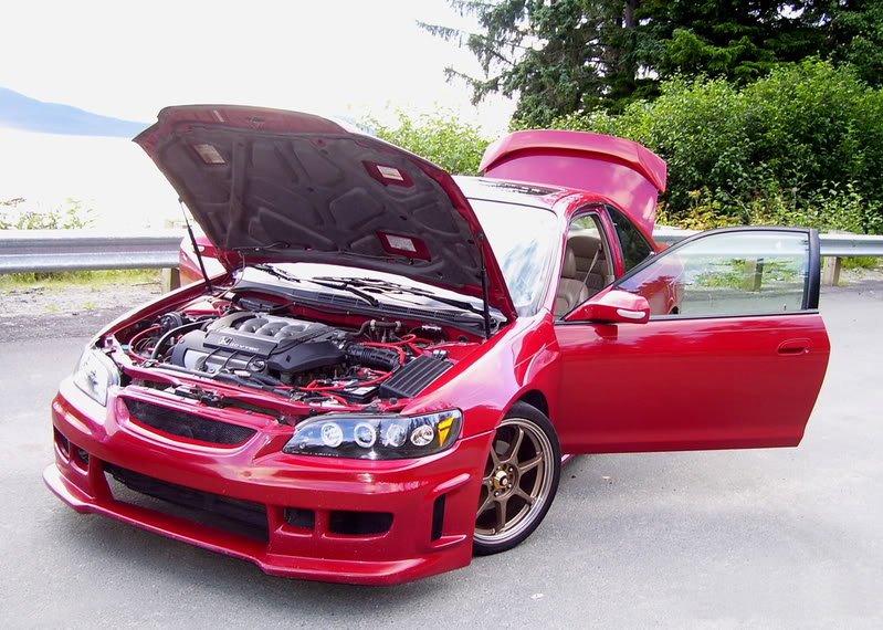 Name:  102_1253photoshopcrop.jpg
Views: 799
Size:  130.5 KB