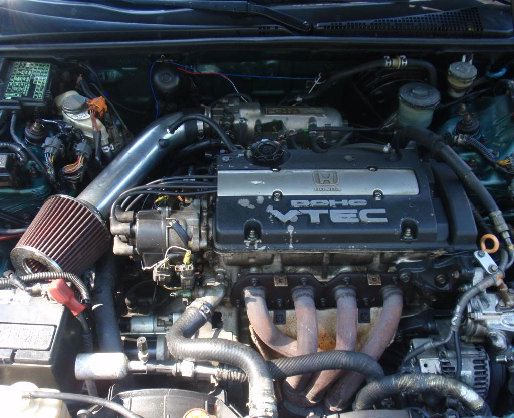 Name:  P826012512.jpg
Views: 141
Size:  144.3 KB