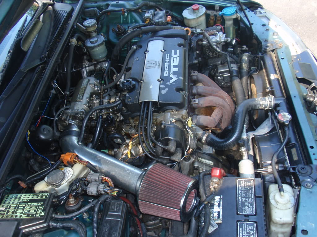 Name:  P826012612.jpg
Views: 121
Size:  200.0 KB