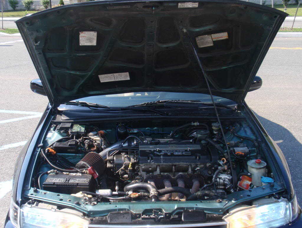 Name:  P826013312.jpg
Views: 144
Size:  133.9 KB