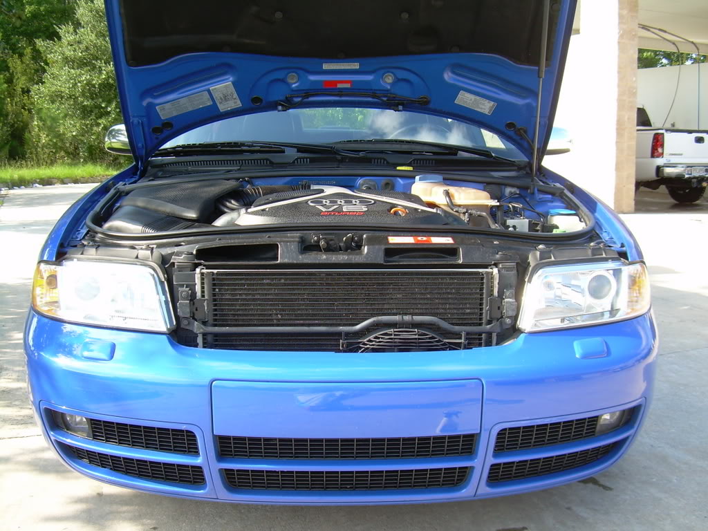 Name:  picsofultrasound004.jpg
Views: 675
Size:  189.8 KB