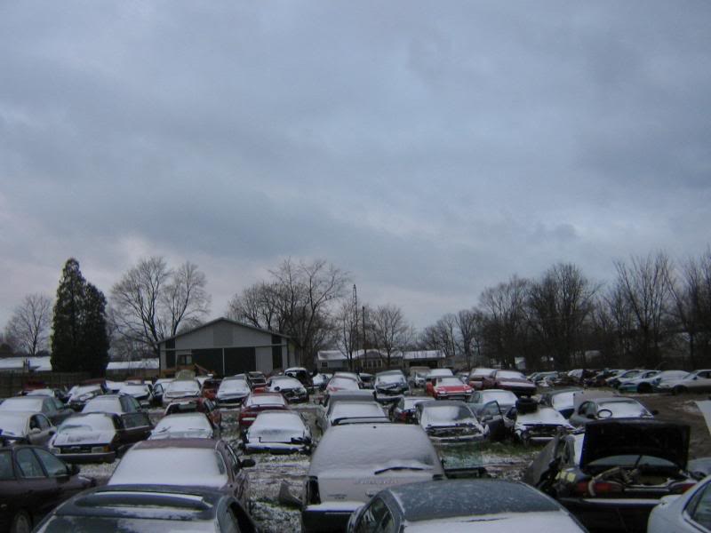 Name:  Picture076.jpg
Views: 44
Size:  50.2 KB