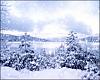 Who says 09 Accords can't drift?-myspace-christmas-graphics-01.jpg