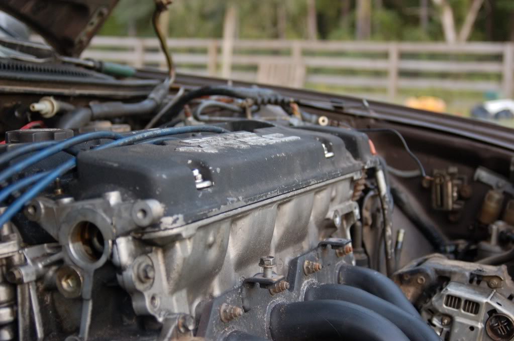 Name:  DSC_2089.jpg
Views: 1320
Size:  84.8 KB