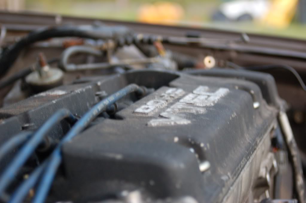 Name:  DSC_2088.jpg
Views: 1201
Size:  51.7 KB