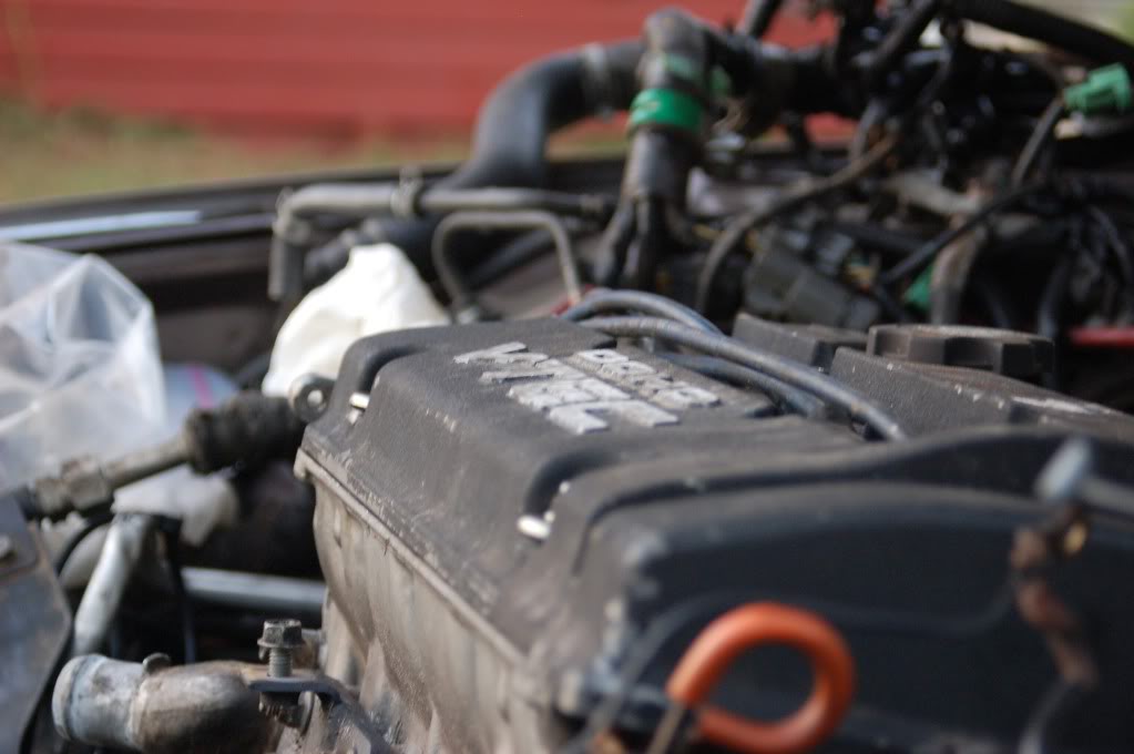 Name:  DSC_2090.jpg
Views: 1321
Size:  60.6 KB