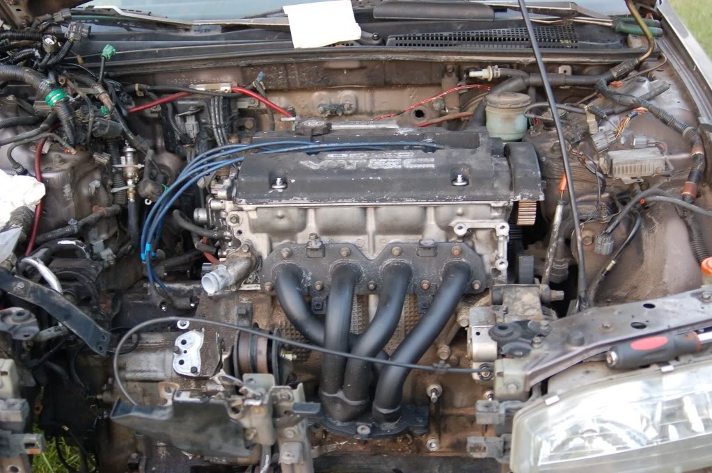 Name:  DSC_2083.jpg
Views: 1323
Size:  148.6 KB