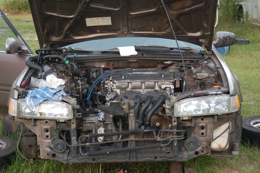 Name:  DSC_2086.jpg
Views: 1262
Size:  153.8 KB