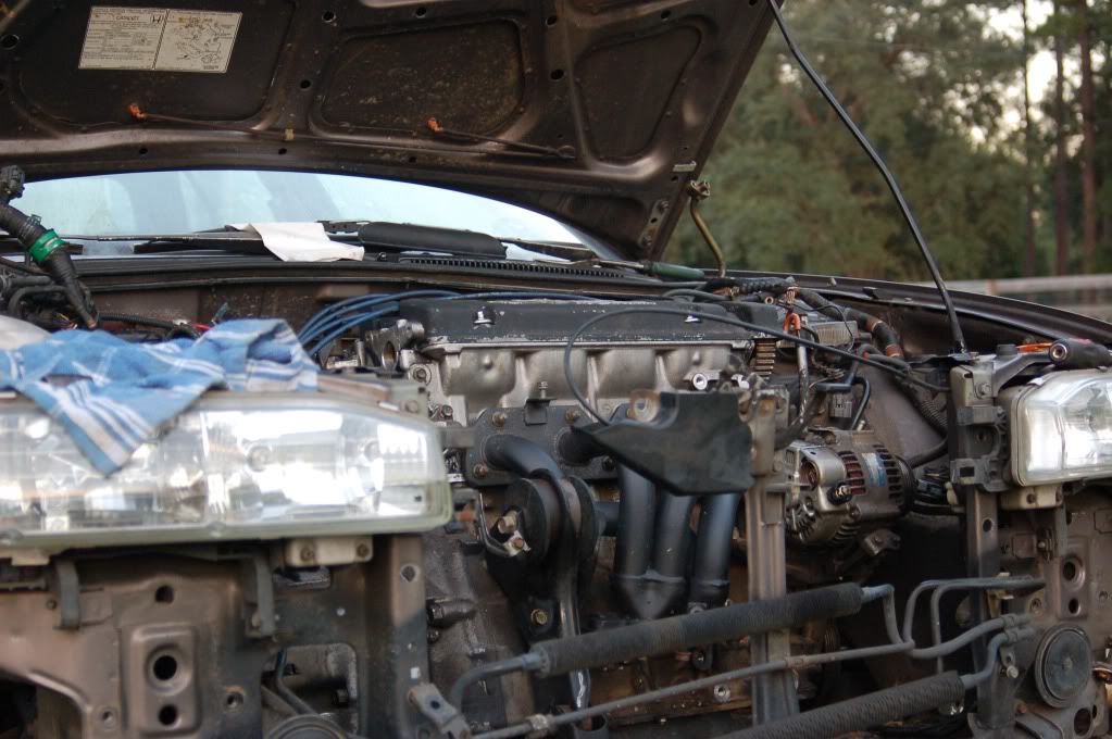 Name:  DSC_2087.jpg
Views: 1215
Size:  113.7 KB