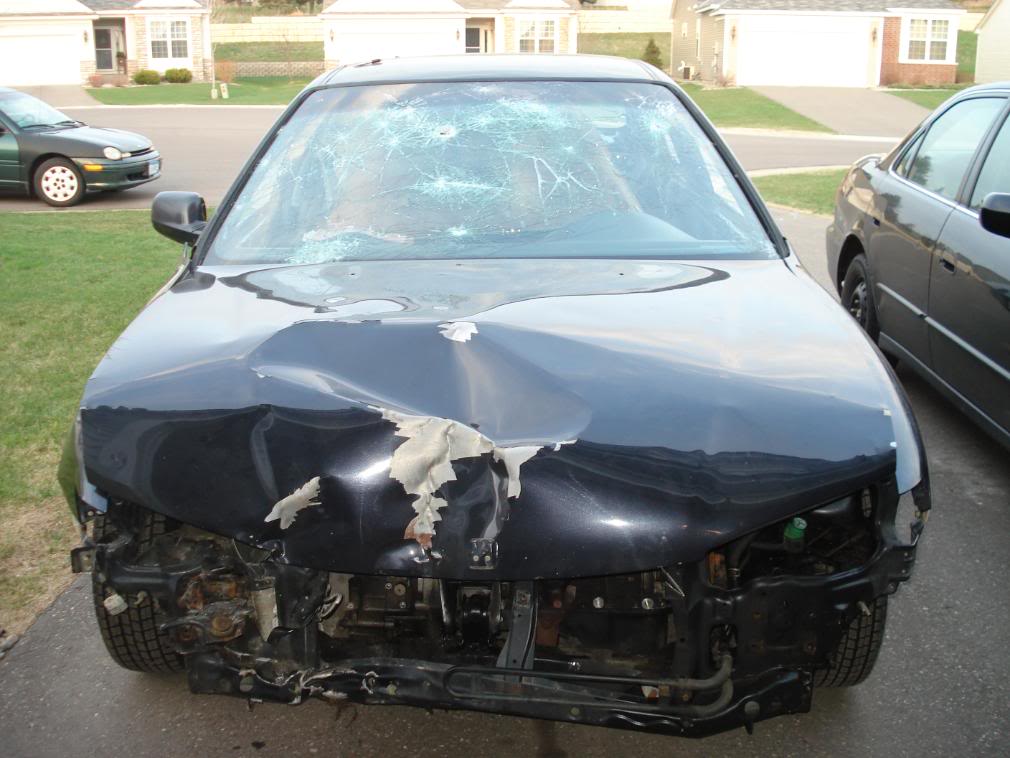 Name:  DSC00646.jpg
Views: 208
Size:  92.4 KB