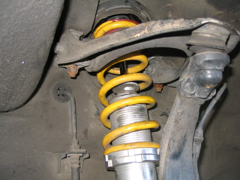 Name:  IMG_5561.jpg
Views: 145
Size:  84.6 KB