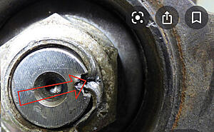 Axel nuts-photo559.jpg